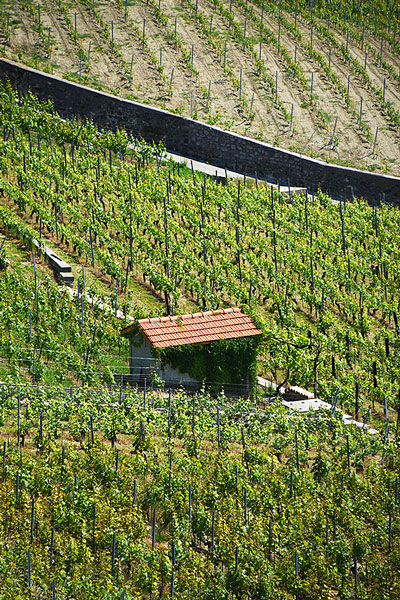Porta Vins Villette Développement durable